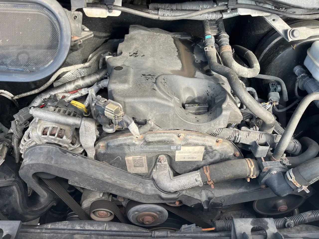 Микроавтобус, Пассажирский фургон Ford Transit: фото 25 Микроавтобус, Пассажирский фургон Ford Transit: фото 25