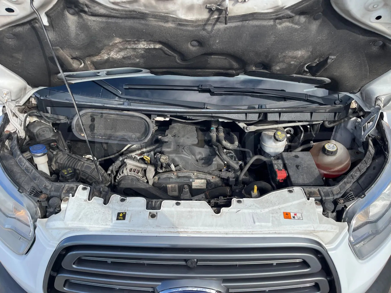 Микроавтобус, Пассажирский фургон Ford Transit: фото 19 Микроавтобус, Пассажирский фургон Ford Transit: фото 19