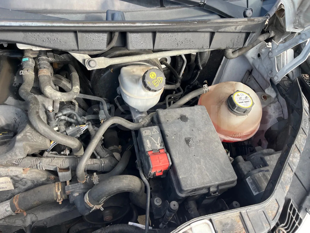 Микроавтобус, Пассажирский фургон Ford Transit: фото 22 Микроавтобус, Пассажирский фургон Ford Transit: фото 22