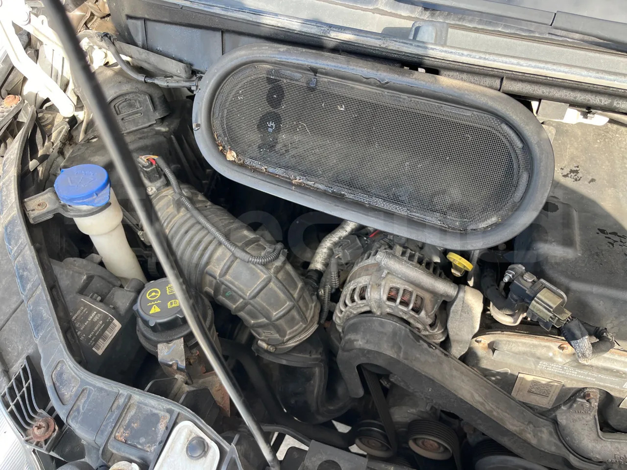 Микроавтобус, Пассажирский фургон Ford Transit: фото 20 Микроавтобус, Пассажирский фургон Ford Transit: фото 20