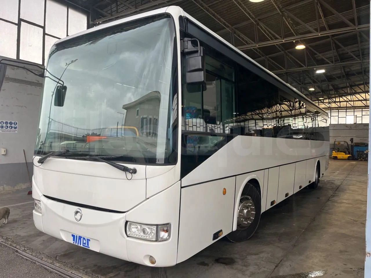 Iveco Recreo - Пригородный автобус: фото 4 Iveco Recreo - Пригородный автобус: фото 4