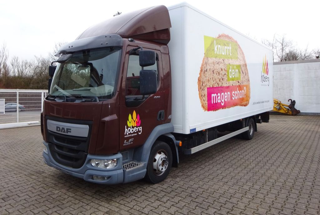 DAF LF 220 Koffer mit Palfinger LBW 4x2 - Малотоннажный фургон: фото 2 DAF LF 220 Koffer mit Palfinger LBW 4x2 - Малотоннажный фургон: фото 2