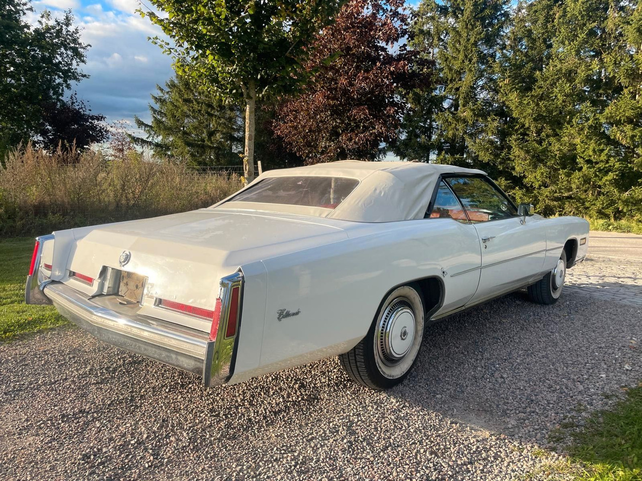Cadillac Eldorado Convertible - Кабриолет: фото 4 Cadillac Eldorado Convertible - Кабриолет: фото 4