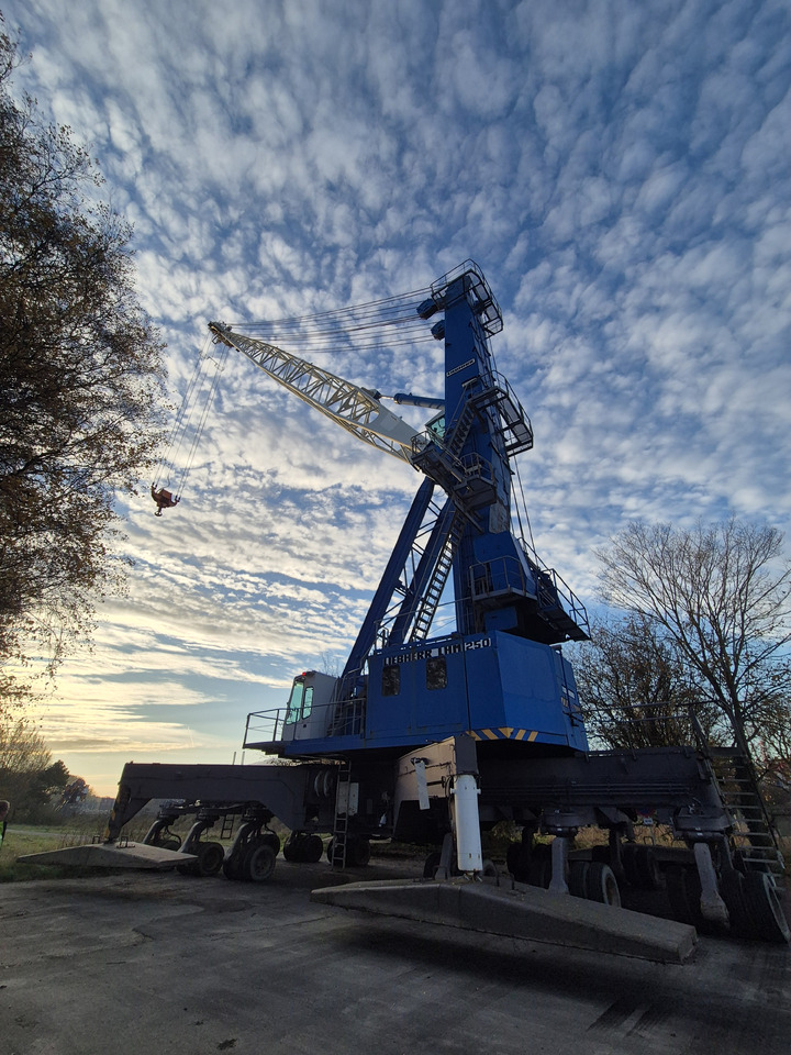 Liebherr LHM250 - Портовая техника: фото 1 Liebherr LHM250 - Портовая техника: фото 1