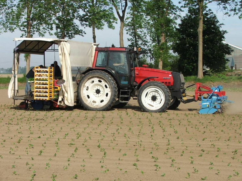 Valtra Valmet Zuidberg Fronthef - Трактор: фото 4 Valtra Valmet Zuidberg Fronthef - Трактор: фото 4