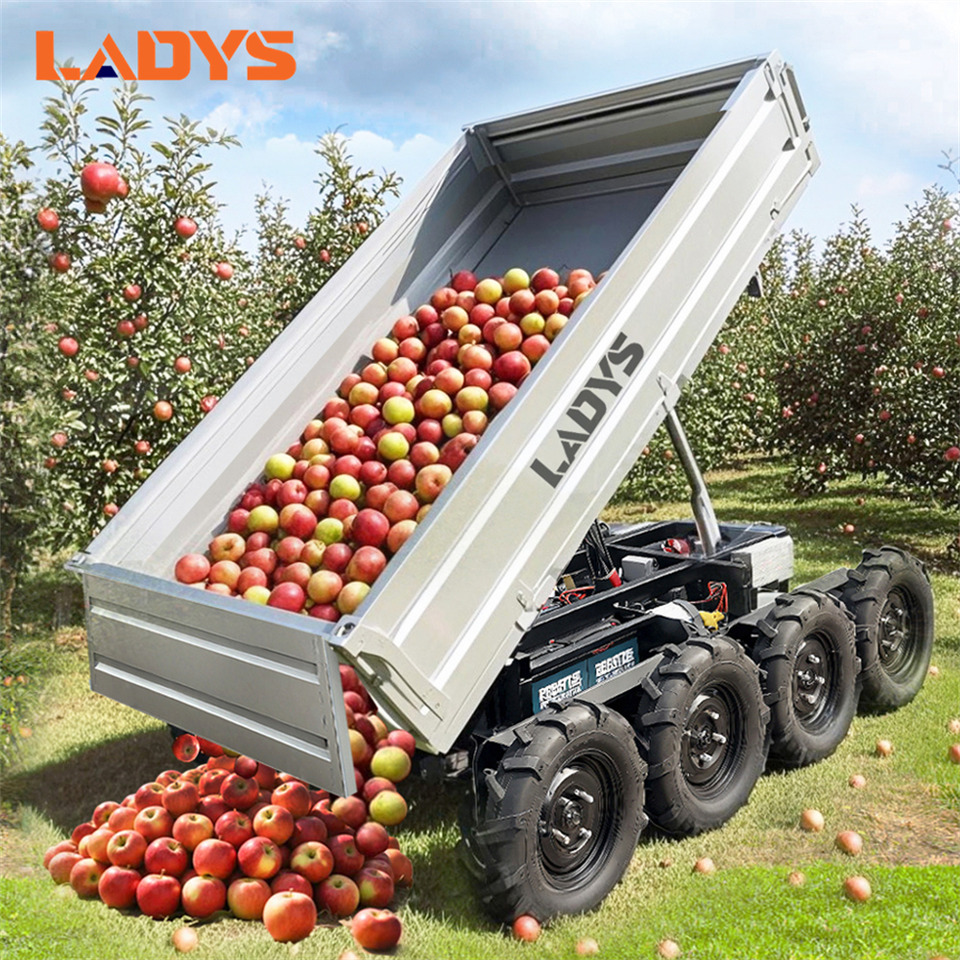 Новый Квадроцикл LADYS Electric Remote Control Transporter Agricultural Orchard Farm Electric Utv Material Handling Equipment All Terrain Transport Vehicle: фото 6