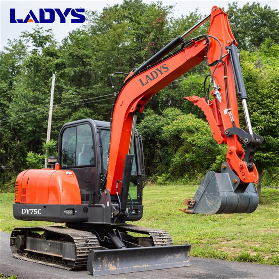 LADYS DY75C Small Excavator Euro 5/Epa Yanmar Engine Small Excavator Crawler Excavator For Sale - Гусеничный экскаватор: фото 4 LADYS DY75C Small Excavator Euro 5/Epa Yanmar Engine Small Excavator Crawler Excavator For Sale - Гусеничный экскаватор: фото 4