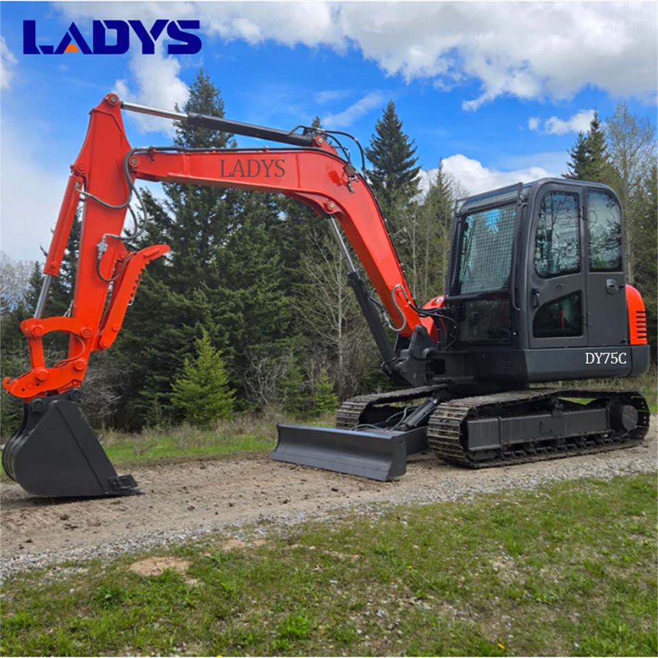 LADYS DY75C Small Excavator Euro 5/Epa Yanmar Engine Small Excavator Crawler Excavator For Sale - Гусеничный экскаватор: фото 2 LADYS DY75C Small Excavator Euro 5/Epa Yanmar Engine Small Excavator Crawler Excavator For Sale - Гусеничный экскаватор: фото 2