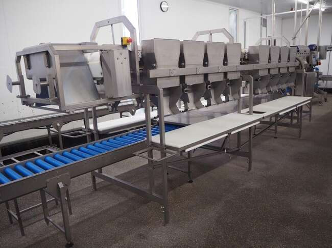 Marel sorting- & grading line DWU 2x225 - Пищевое оборудование: фото 3 Marel sorting- & grading line DWU 2x225 - Пищевое оборудование: фото 3