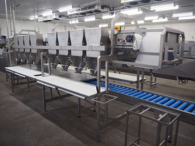 Marel sorting- & grading line DWU 2x225 - Пищевое оборудование: фото 4 Marel sorting- & grading line DWU 2x225 - Пищевое оборудование: фото 4