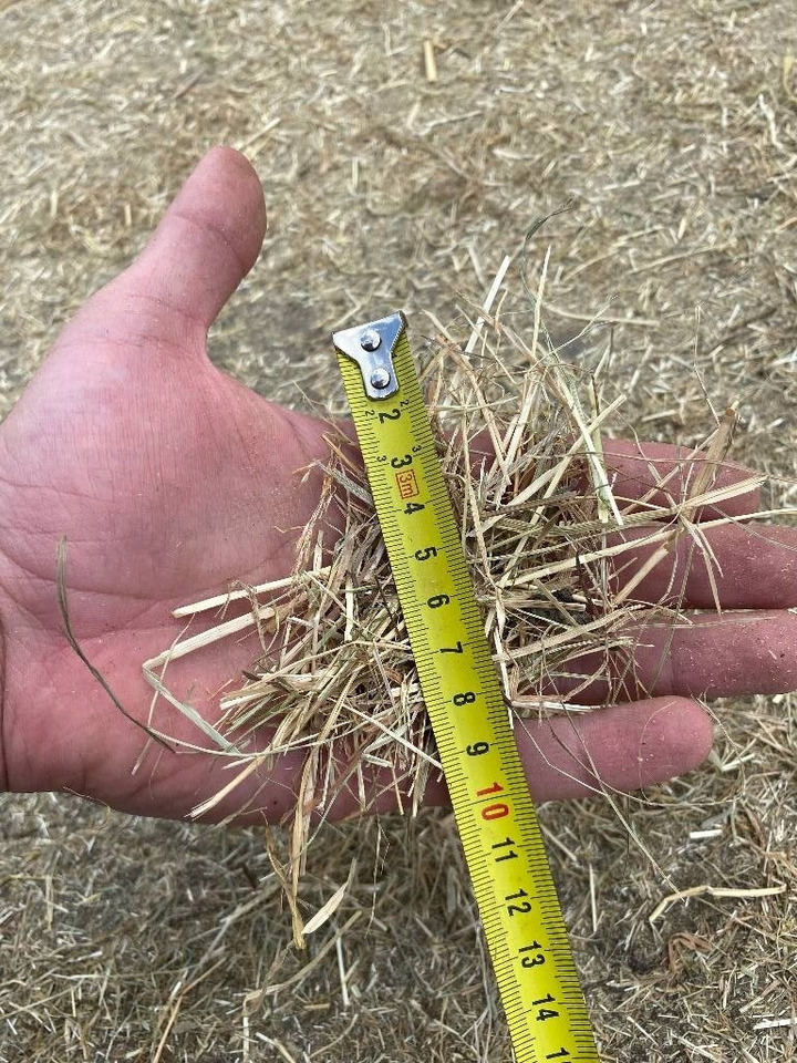 Новый Измельчитель соломы Bizon B-1030: фото 13