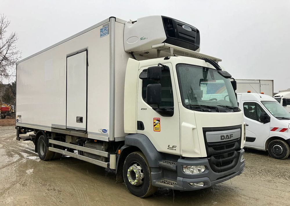 DAF Daf LF 16.250 chłodnia multi temperatura 16 palet - Рефрижератор: фото 2 DAF Daf LF 16.250 chłodnia multi temperatura 16 palet - Рефрижератор: фото 2