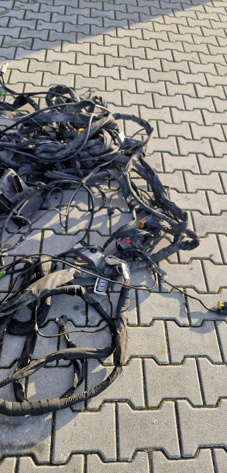 MAN TG3 TGX WIĄZKA ELEKTRYCZNA RAMY - Электрическая система: фото 4 MAN TG3 TGX WIĄZKA ELEKTRYCZNA RAMY - Электрическая система: фото 4