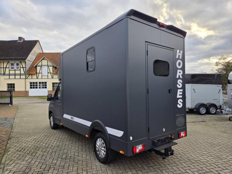 MSG Stablehopper Pferdetransporter Pferdeanhänger Böckmann - Коневоз: фото 4 MSG Stablehopper Pferdetransporter Pferdeanhänger Böckmann - Коневоз: фото 4