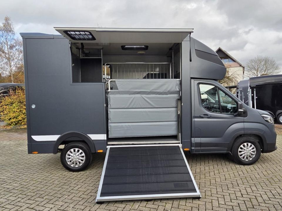 MSG Stablehopper Pferdetransporter Pferdeanhänger Böckmann - Коневоз: фото 3 MSG Stablehopper Pferdetransporter Pferdeanhänger Böckmann - Коневоз: фото 3