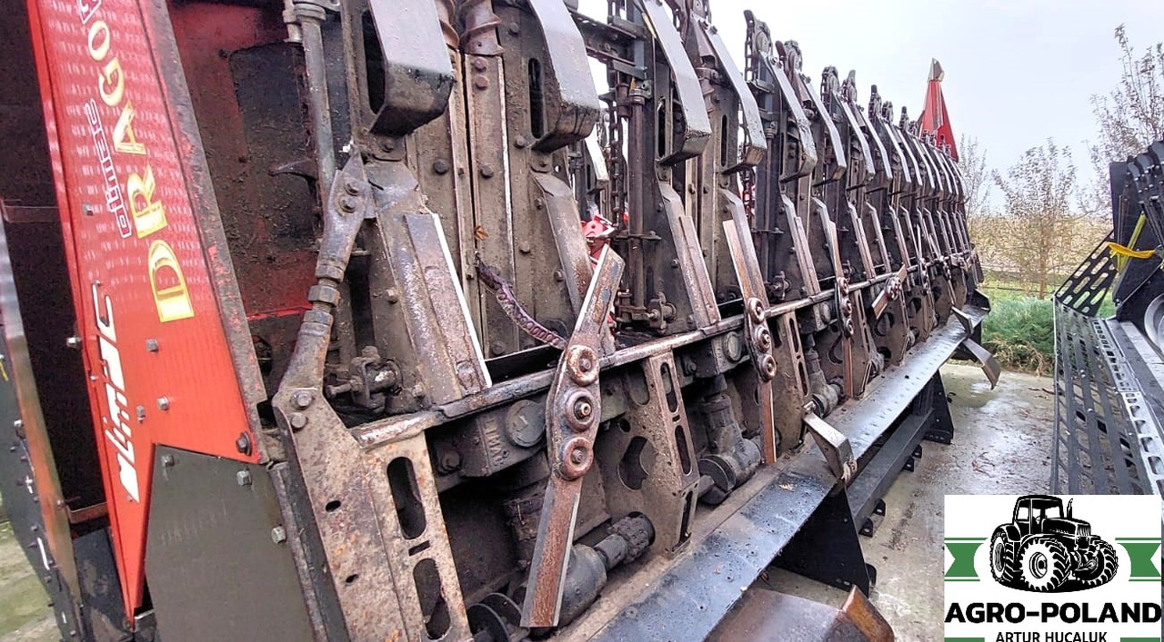 OLIMAC DRAGO S 8 TR - 8X70 - 2014 ROK - Жатка кукурузная: фото 1 OLIMAC DRAGO S 8 TR - 8X70 - 2014 ROK - Жатка кукурузная: фото 1