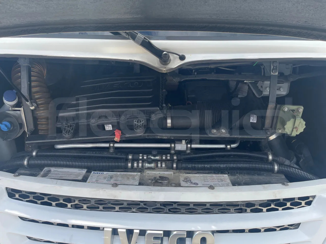 Городской автобус Iveco Daily: фото 14 Городской автобус Iveco Daily: фото 14