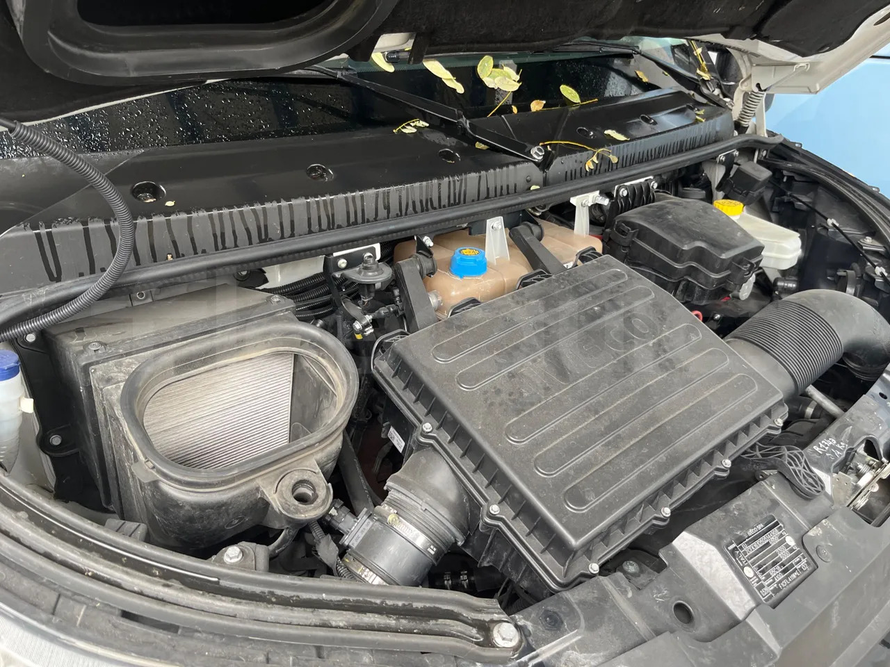 Пригородный автобус Iveco Daily: фото 17 Пригородный автобус Iveco Daily: фото 17