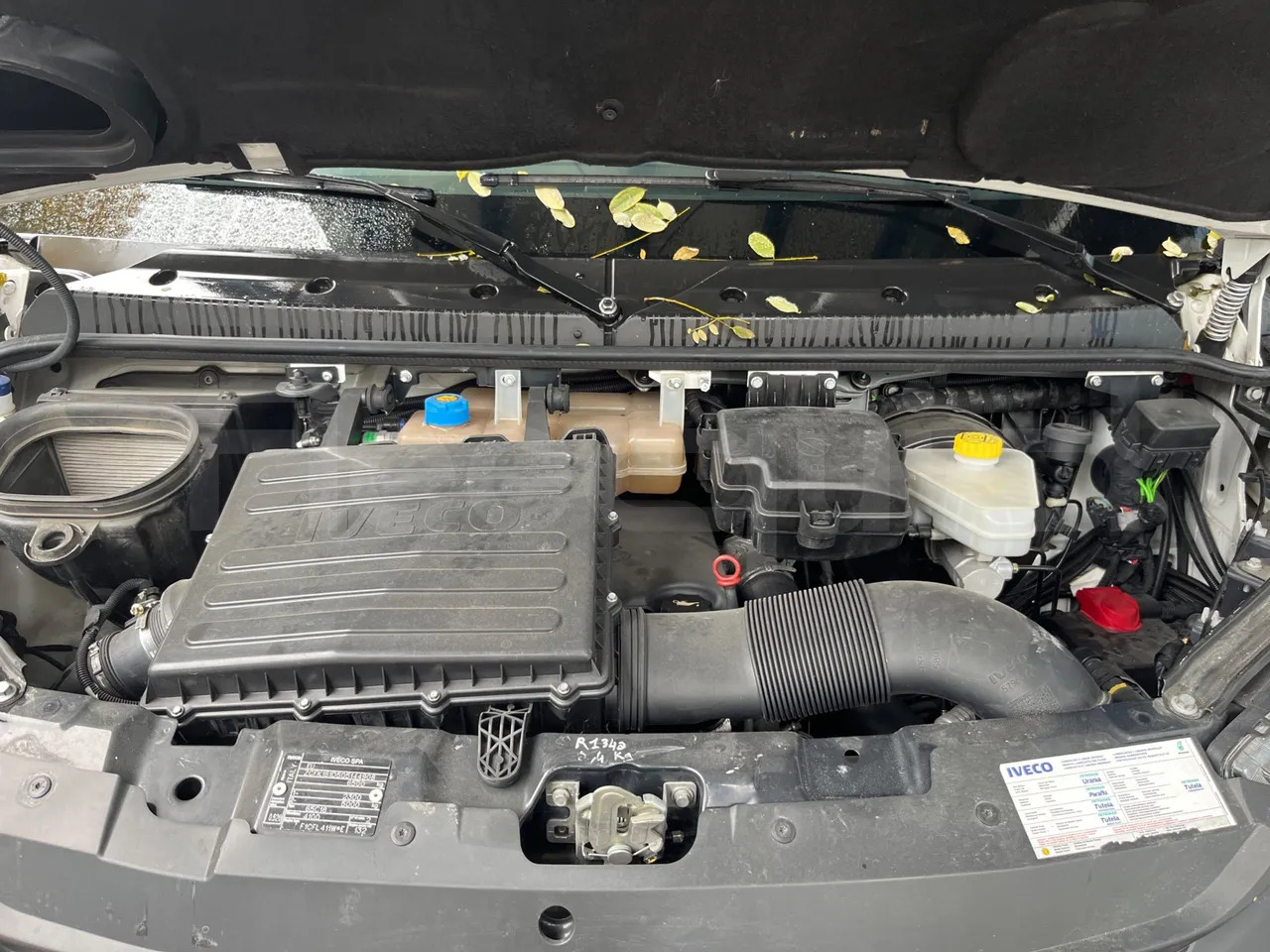 Пригородный автобус Iveco Daily: фото 15 Пригородный автобус Iveco Daily: фото 15