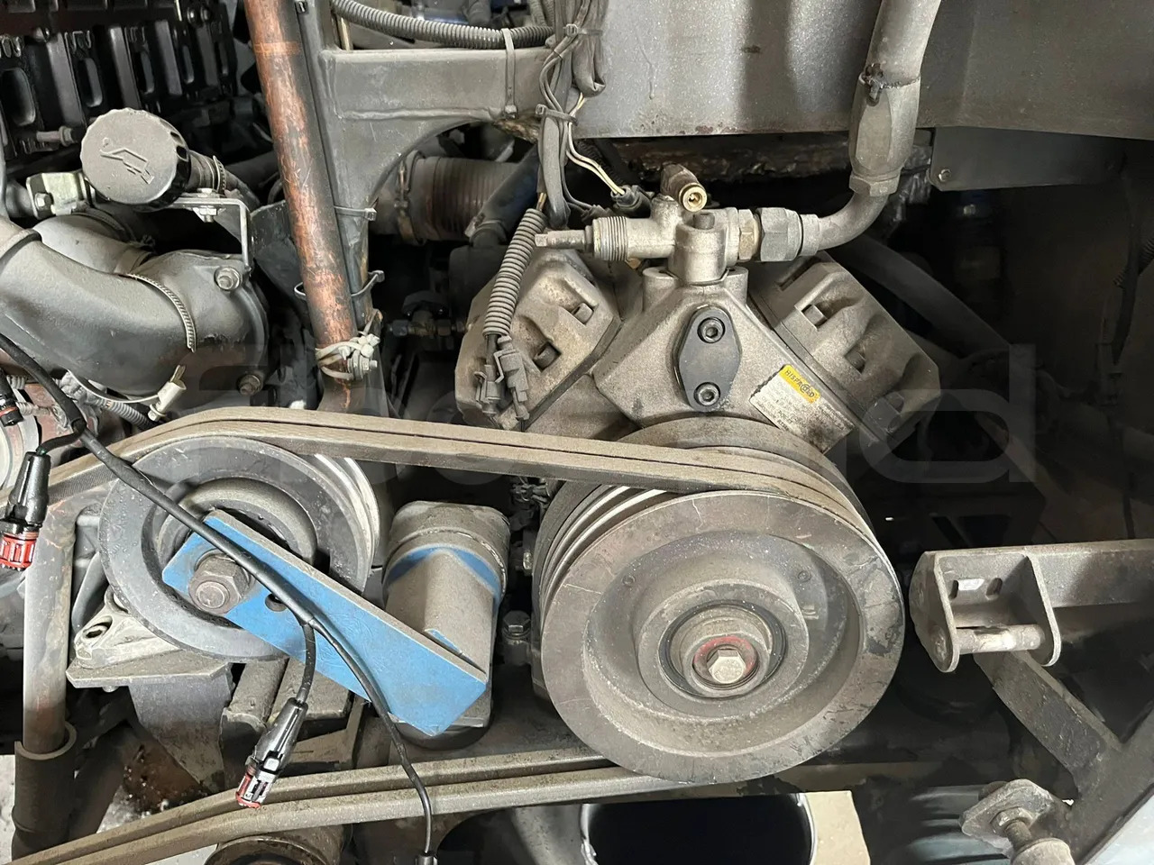 Iveco Noge-Touring - Туристический автобус: фото 4 Iveco Noge-Touring - Туристический автобус: фото 4