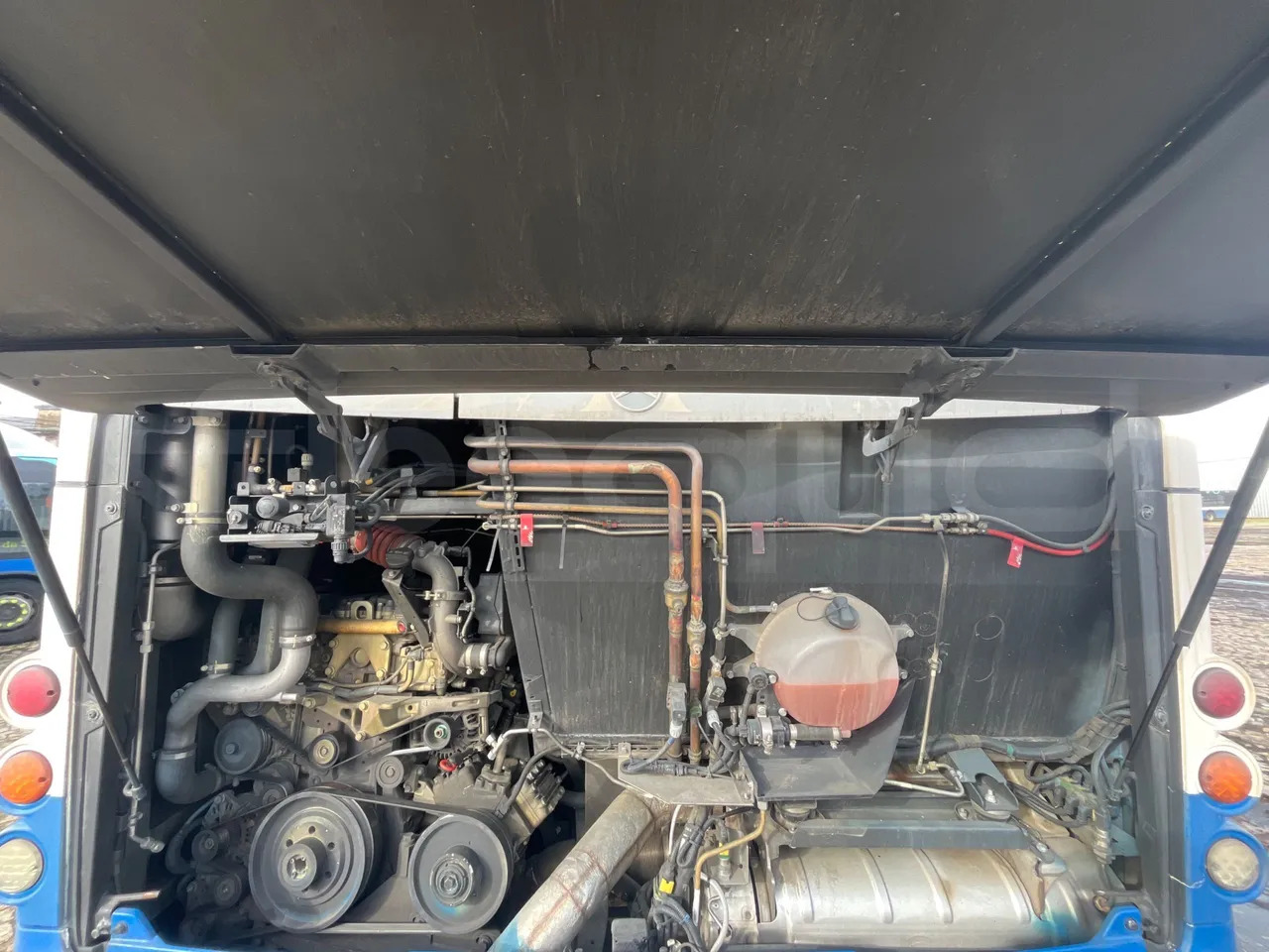 Mercedes-Benz Conecto - Городской автобус: фото 5 Mercedes-Benz Conecto - Городской автобус: фото 5