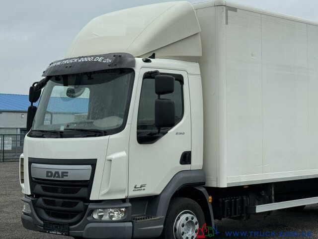 DAF LF 250 MBB Palfinger LBW 1.500 Kg ACC Tempomat лизинг DAF LF 250 MBB Palfinger LBW 1.500 Kg ACC Tempomat: фото 9