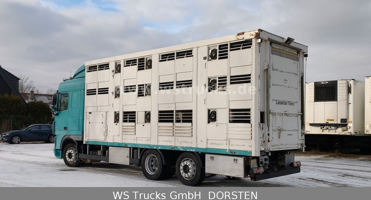 DAF XF 105/460T KABA 3 Stock Vollalu - Коневоз: фото 5 DAF XF 105/460T KABA 3 Stock Vollalu - Коневоз: фото 5