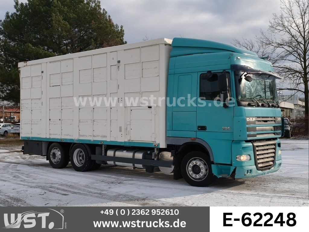 DAF XF 105/460T KABA 3 Stock Vollalu - Коневоз: фото 1 DAF XF 105/460T KABA 3 Stock Vollalu - Коневоз: фото 1