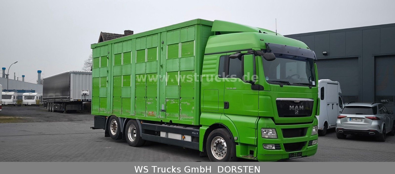 MAN TGX 26.480 XL KABA 3 Stock Viehtransporter - Коневоз: фото 3 MAN TGX 26.480 XL KABA 3 Stock Viehtransporter - Коневоз: фото 3