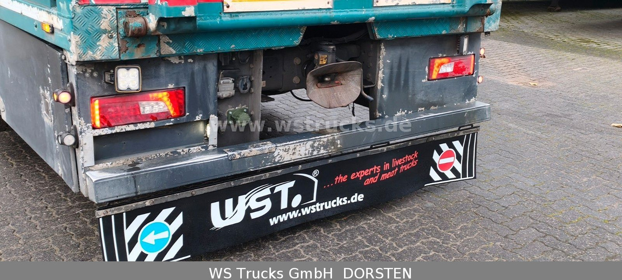 Scania R 490 Topline Menke 4 Stock Hubdach | Retader - Коневоз: фото 5 Scania R 490 Topline Menke 4 Stock Hubdach | Retader - Коневоз: фото 5