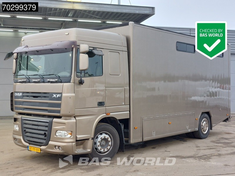DAF XF105.410 XF 4X2 NL-Truck JK Horsetruck 6 Horses Pferdentransport Manual Euro 5 - Коневоз: фото 1 DAF XF105.410 XF 4X2 NL-Truck JK Horsetruck 6 Horses Pferdentransport Manual Euro 5 - Коневоз: фото 1