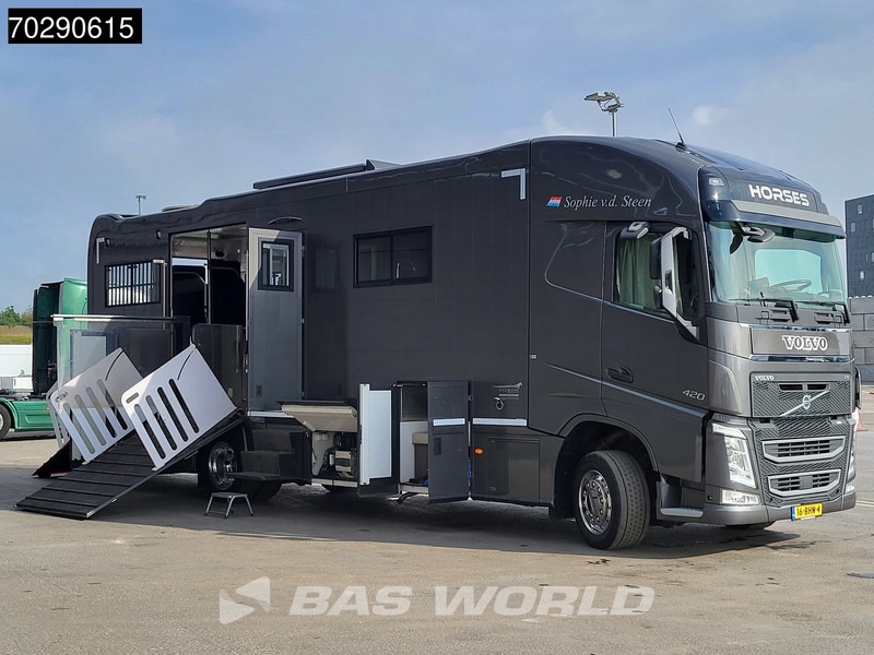 Volvo FH 420 FH 4X2 NL-Truck Xenon Navi ACC Euro 6 - Коневоз: фото 3 Volvo FH 420 FH 4X2 NL-Truck Xenon Navi ACC Euro 6 - Коневоз: фото 3