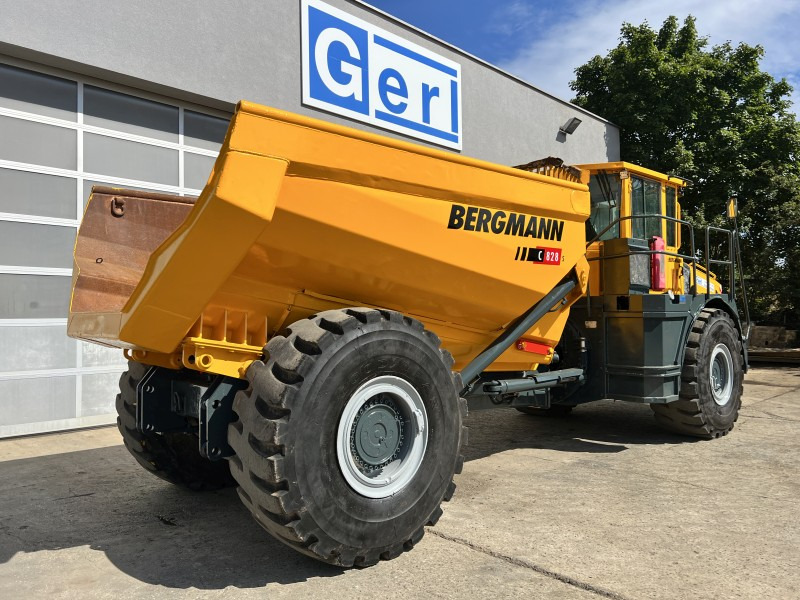 Сочленённый самосвал Bergmann 5025 HK (110873): фото 8
