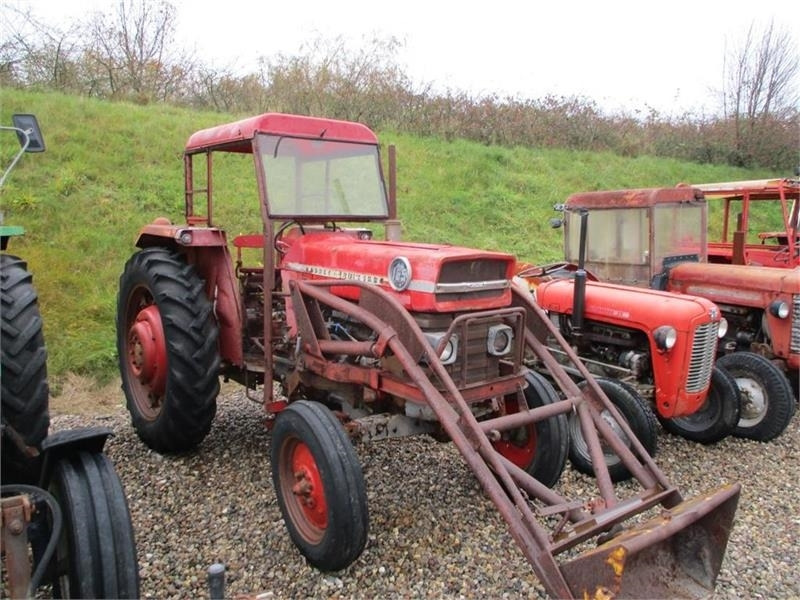 Massey Ferguson 165 Med Ålø læsser med greb. - Трактор: фото 2 Massey Ferguson 165 Med Ålø læsser med greb. - Трактор: фото 2