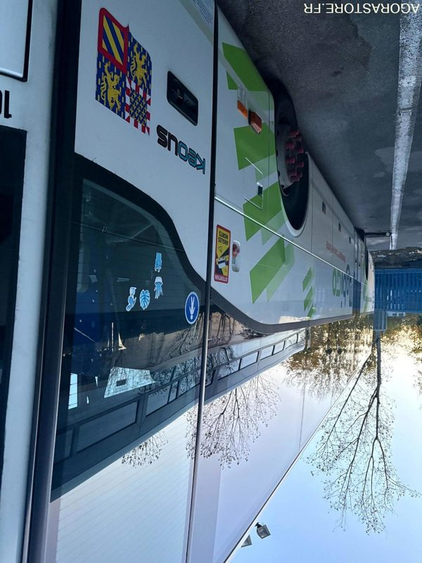 MERCEDES TOURISMO N°106030 - Туристический автобус: фото 4 MERCEDES TOURISMO N°106030 - Туристический автобус: фото 4