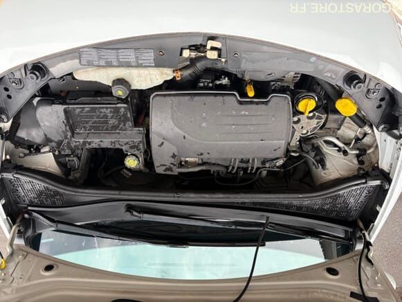 Хэтчбек Renault CLIO: фото 6 Хэтчбек Renault CLIO: фото 6
