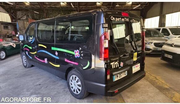 Микроавтобус, Пассажирский фургон Renault TRAFIC: фото 31 Микроавтобус, Пассажирский фургон Renault TRAFIC: фото 31