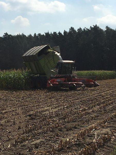 Claas Jaguar 900 Field Shuttle C 35 - Сельскохозяйственная техника: фото 5 Claas Jaguar 900 Field Shuttle C 35 - Сельскохозяйственная техника: фото 5