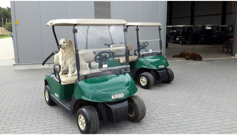 EZGO rxv petrol - Гольф-кар: фото 2 EZGO rxv petrol - Гольф-кар: фото 2
