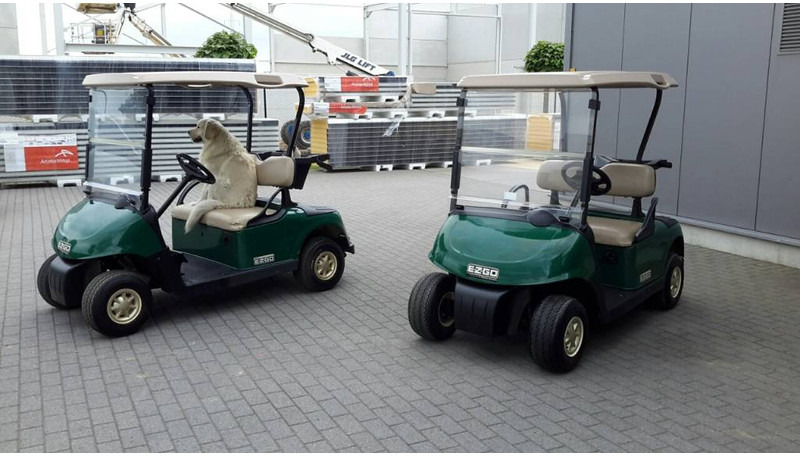 EZGO rxv petrol - Гольф-кар: фото 1 EZGO rxv petrol - Гольф-кар: фото 1