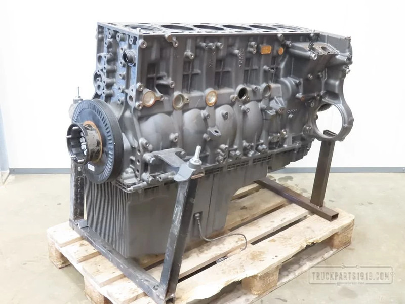 DAF Engines & Parts Motorblok DAF MX11 - Двигатель для Грузовиков: фото 1 DAF Engines & Parts Motorblok DAF MX11 - Двигатель для Грузовиков: фото 1