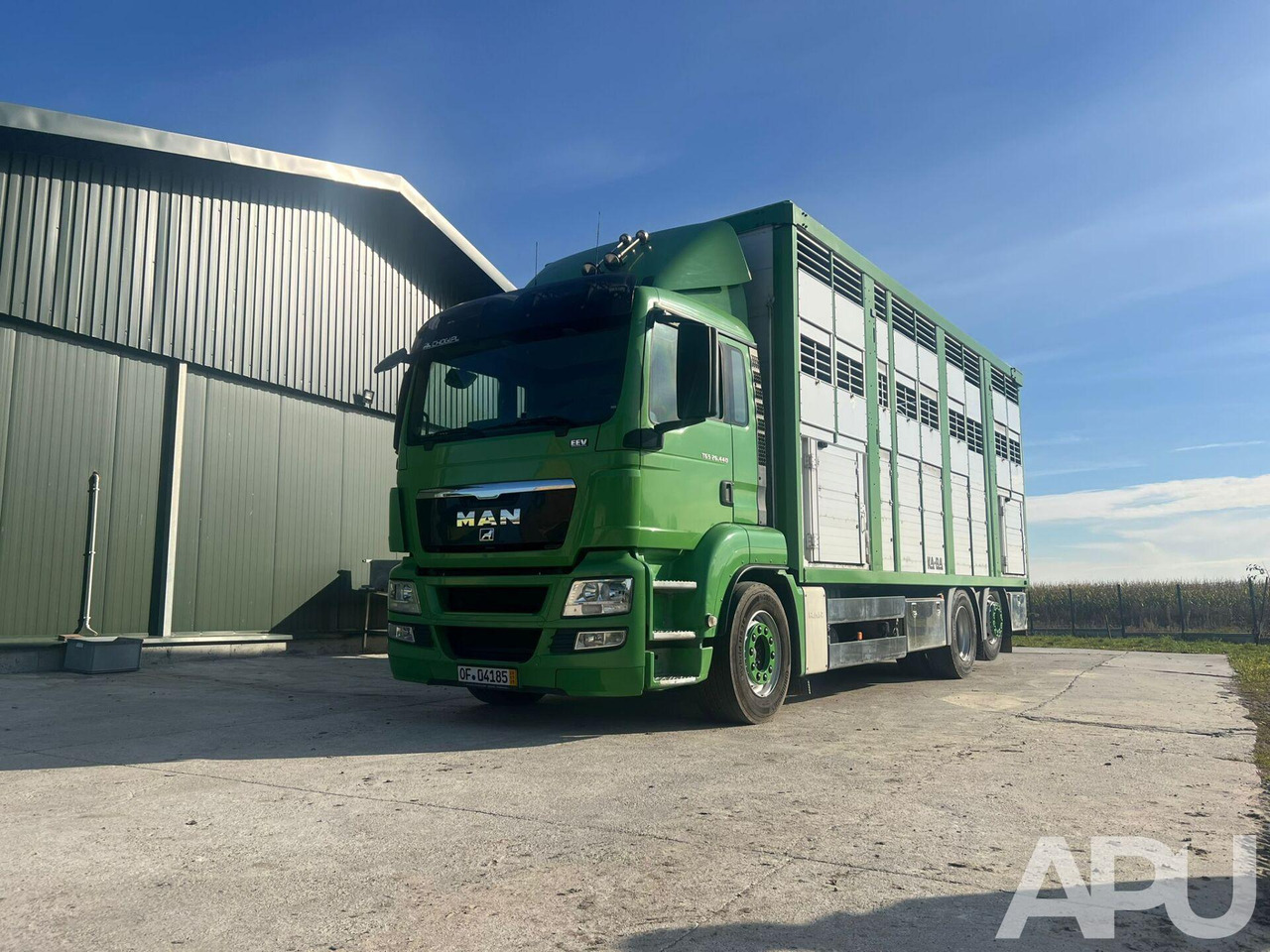 MAN TGS 26.440 DO PRZEWOZU BYDŁA - Грузовик для перевозки животных: фото 1 MAN TGS 26.440 DO PRZEWOZU BYDŁA - Грузовик для перевозки животных: фото 1