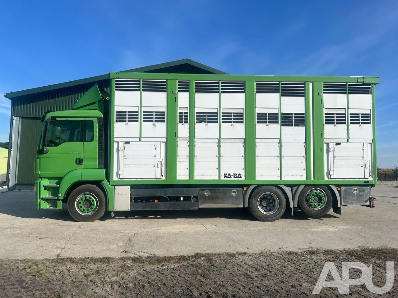 MAN TGS 26.440 DO PRZEWOZU BYDŁA - Грузовик для перевозки животных: фото 2 MAN TGS 26.440 DO PRZEWOZU BYDŁA - Грузовик для перевозки животных: фото 2