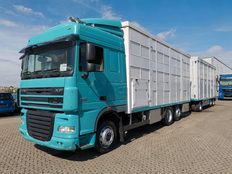 DAF XF 105.460 - Animal transporter + trailer - Грузовик для перевозки животных: фото 1 DAF XF 105.460 - Animal transporter + trailer - Грузовик для перевозки животных: фото 1
