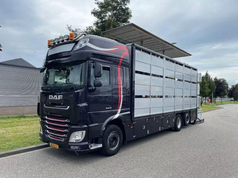 DAF XF 460 - Animal transporter - Грузовик для перевозки животных: фото 3 DAF XF 460 - Animal transporter - Грузовик для перевозки животных: фото 3