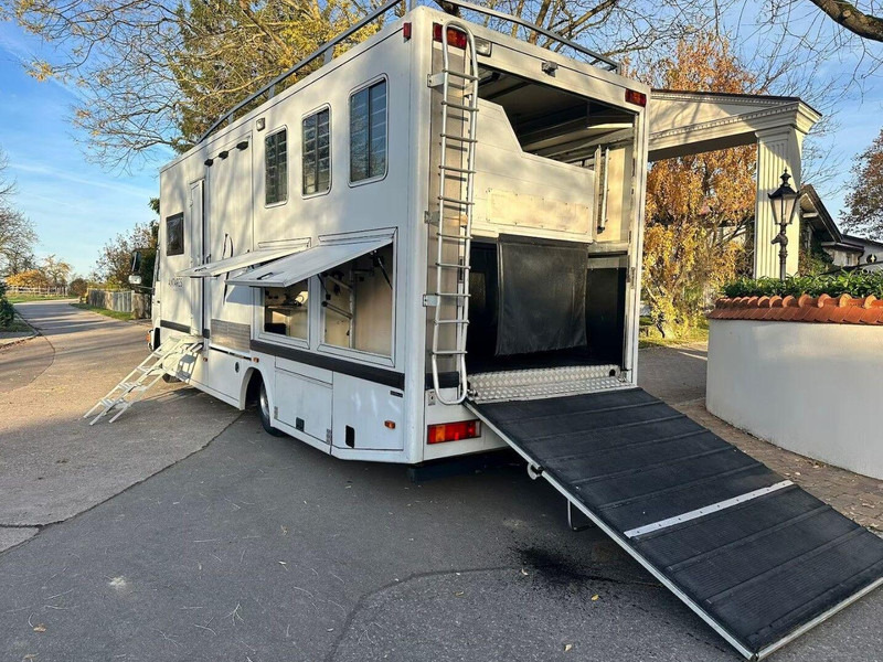 MAN 10.224 - Коневоз: фото 5 MAN 10.224 - Коневоз: фото 5