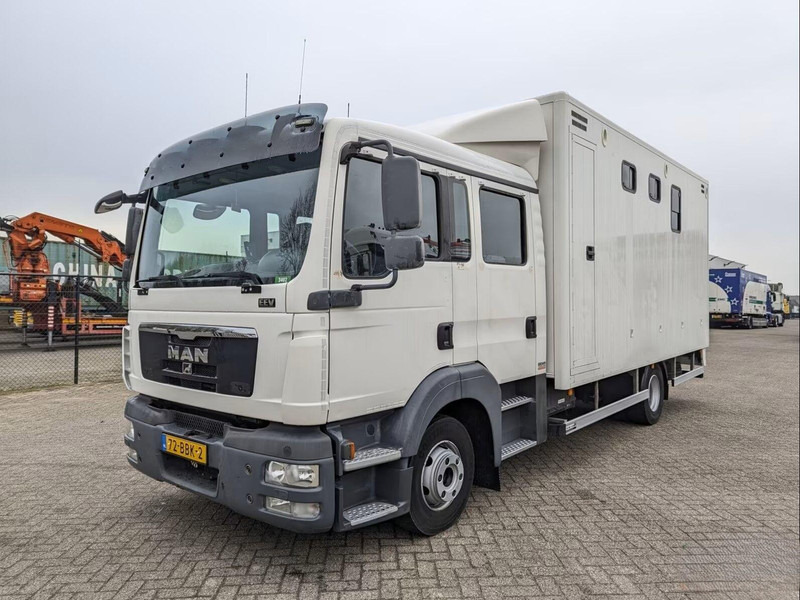 MAN TGL 12.180 - Doka Horse transporter - Коневоз: фото 1 MAN TGL 12.180 - Doka Horse transporter - Коневоз: фото 1