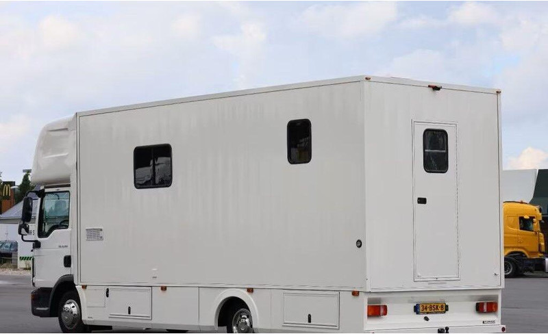 MAN TGL 8.190 - Коневоз: фото 4 MAN TGL 8.190 - Коневоз: фото 4