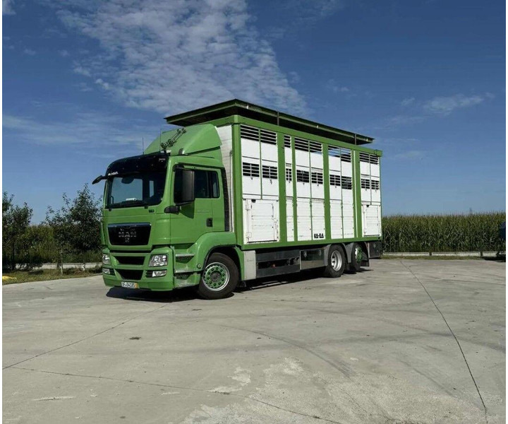 MAN TGS 26.440 Livestock Transporter - Three Deck - Грузовик для перевозки животных: фото 5 MAN TGS 26.440 Livestock Transporter - Three Deck - Грузовик для перевозки животных: фото 5