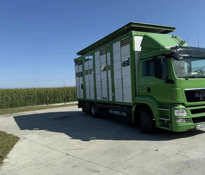 MAN TGS 26.440 Livestock Transporter - Three Deck - Грузовик для перевозки животных: фото 4 MAN TGS 26.440 Livestock Transporter - Three Deck - Грузовик для перевозки животных: фото 4